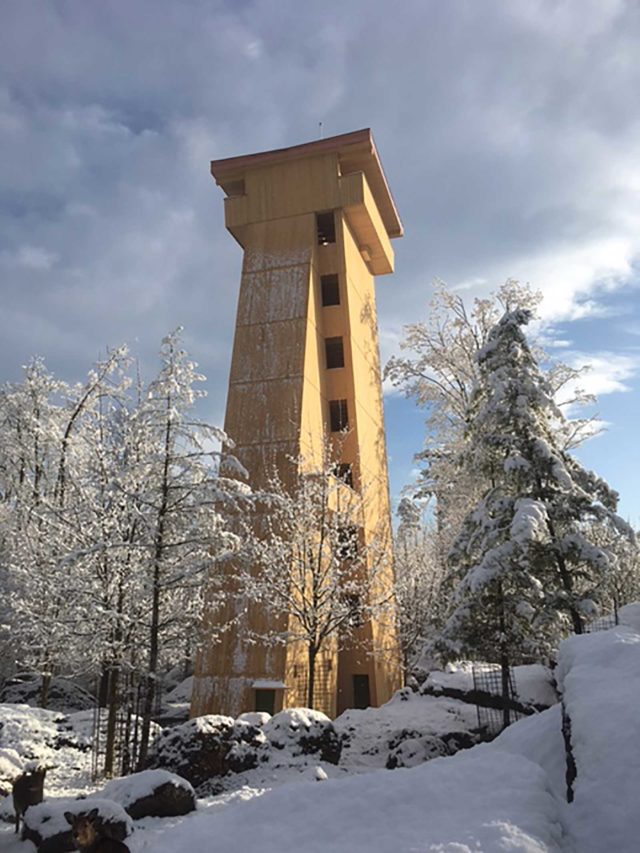 Tierpark-Turm