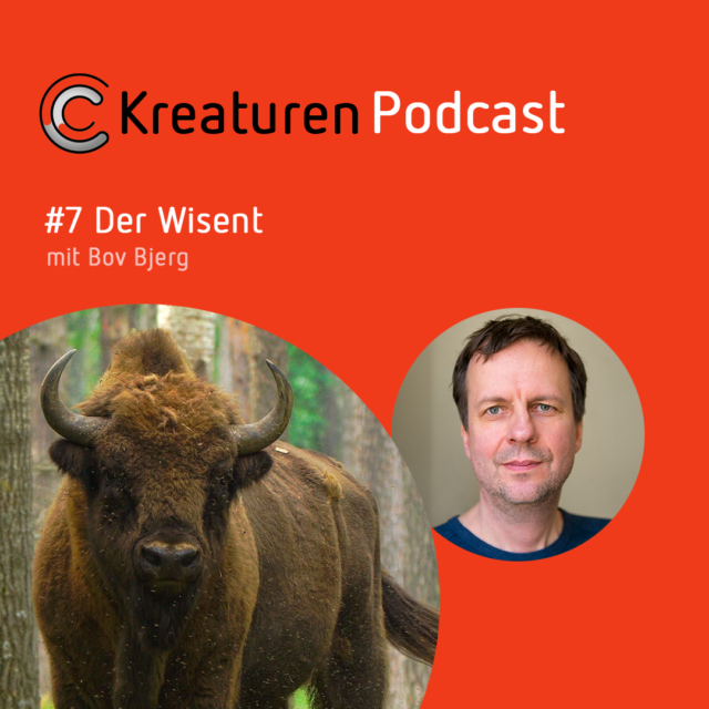 Kreaturen Podcast "Wisent" von Citizen Conservation