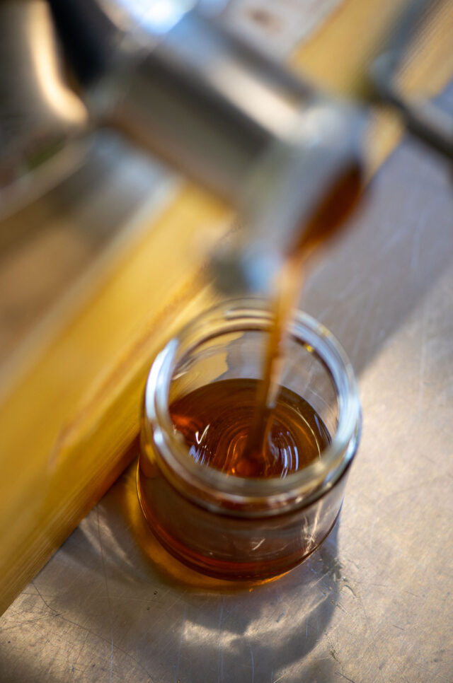 Insgesamt produzierten die Bienenvölker rund 125 Kilogramm Honig.
