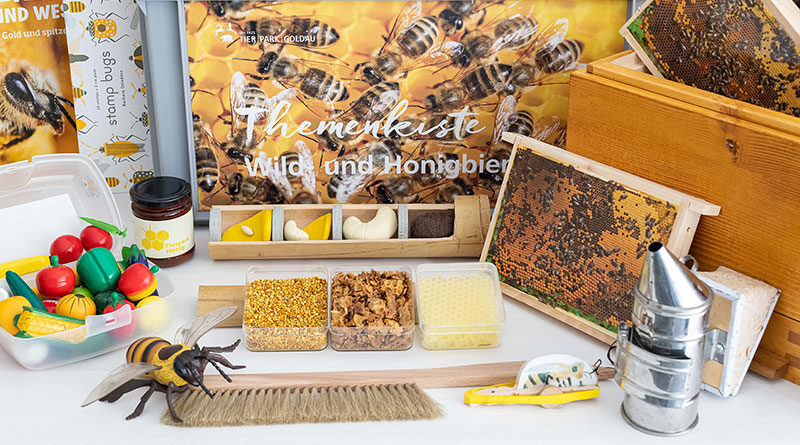 Themenkiste Wild- und Honigbienen für Schulen