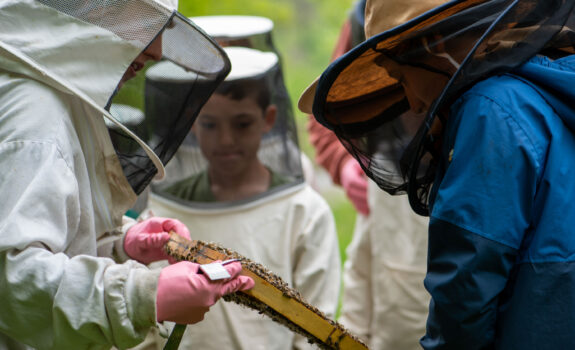 In guter Ausrüstung tauchen sie ein in die Welt der Honigbienen.
