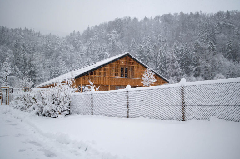 Der Grosswijer-Hof «erlebt» seinen ersten Schneefall (29. November 2021)