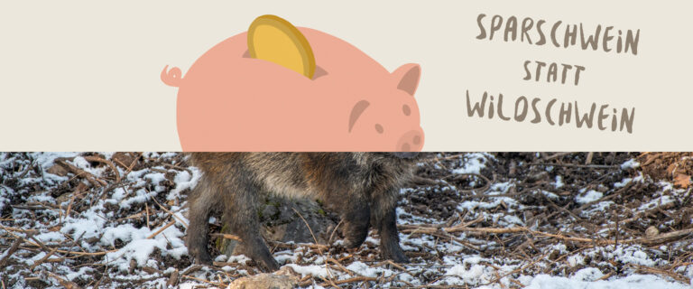 Kampagne «Sparschwein statt Wildschwein»