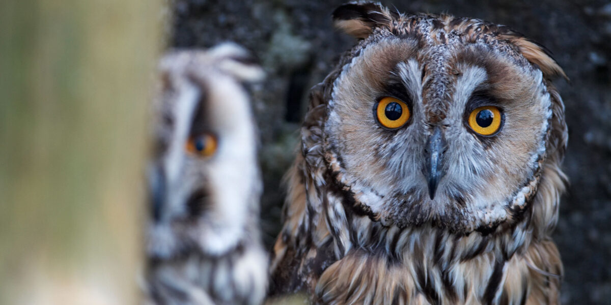 Abendführung im Tierpark